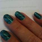 Seaweed